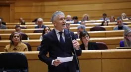 Marlaska dice que la baliza V16 «salva vidas» y el PP denuncia «intereses empresariales»