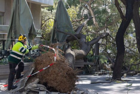 Muere una mujer tras caerle encima el techo de una nave por el temporal de viento en Barcelona