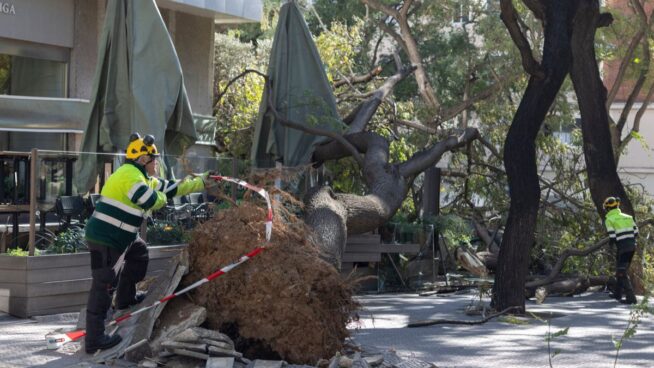 Muere una mujer tras caerle encima el techo de una nave por el temporal de viento en Barcelona