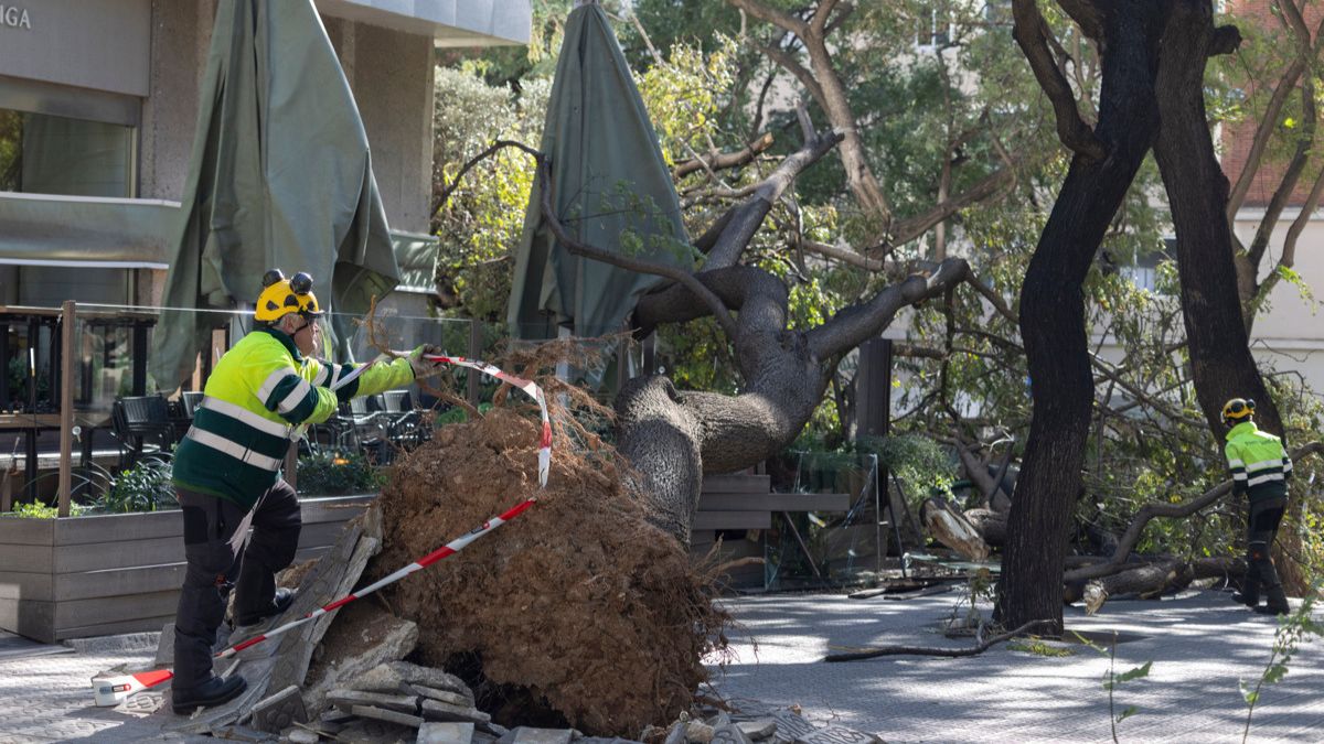 Muere una mujer tras caerle encima el techo de una nave por el temporal de viento en Barcelona