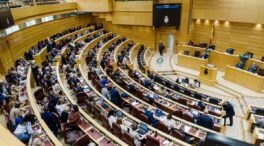 El PSOE recurre al Tribunal Constitucional la última reforma del Reglamento del Senado