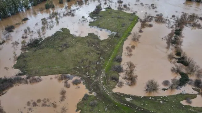 Rescatan a cuatro personas que llevaban seis días aisladas por la crecida del Guadiana