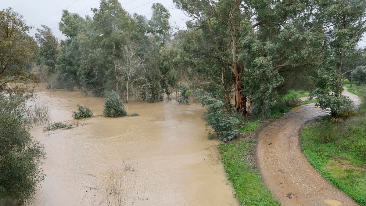 Casi toda España en alerta por viento, lluvia y oleaje, con siete comunidades en naranja