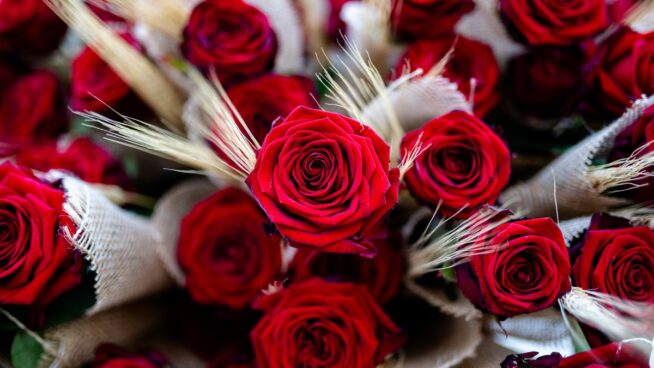 De las flores al bienestar sexual, un San Valentín completo sin salir de casa