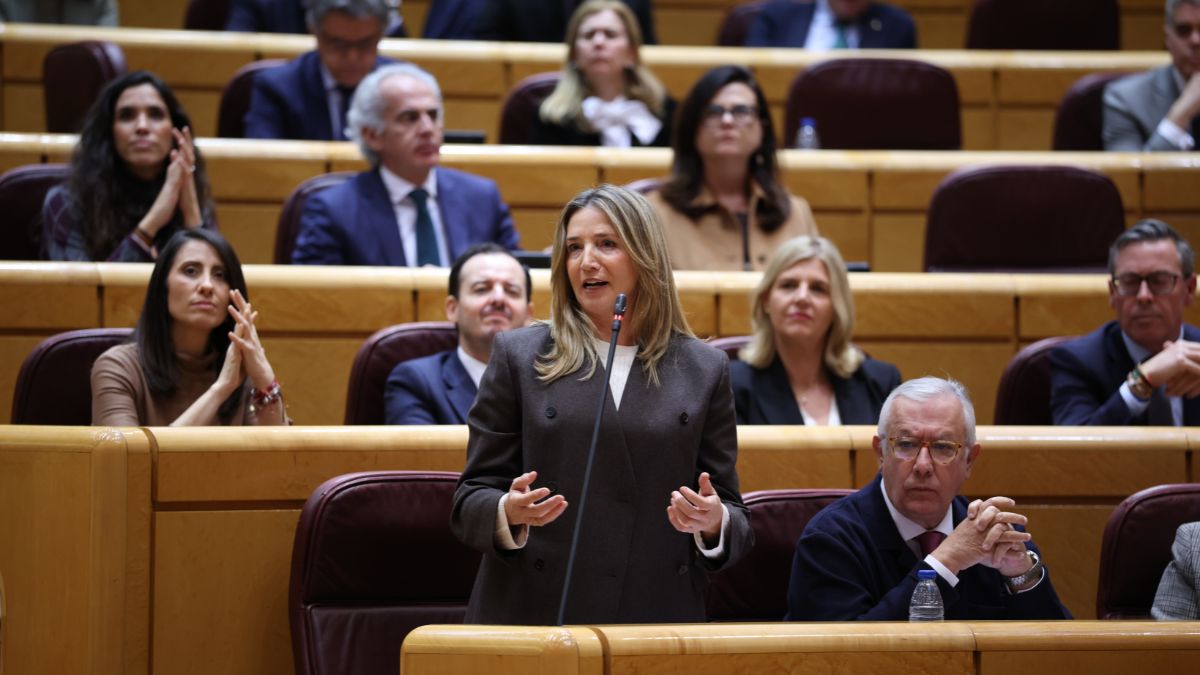 El Senado aprobará el 18 de febrero crear una comisión de investigación de la red ferroviaria