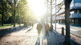 Restauración, transporte por carretera y belleza son los sectores con más emprendimiento