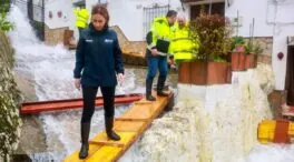 Registrado un terremoto de 2,4 grados con epicentro en Ubrique (Cádiz)