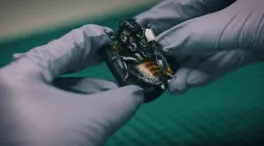 Lo último en armas de la OTAN es la más desagradable de todas: cucarachas cíborg