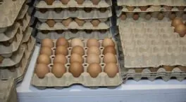 Los huevos suben un 22% su precio en el último año, seguidos por zanahorias y cebollas