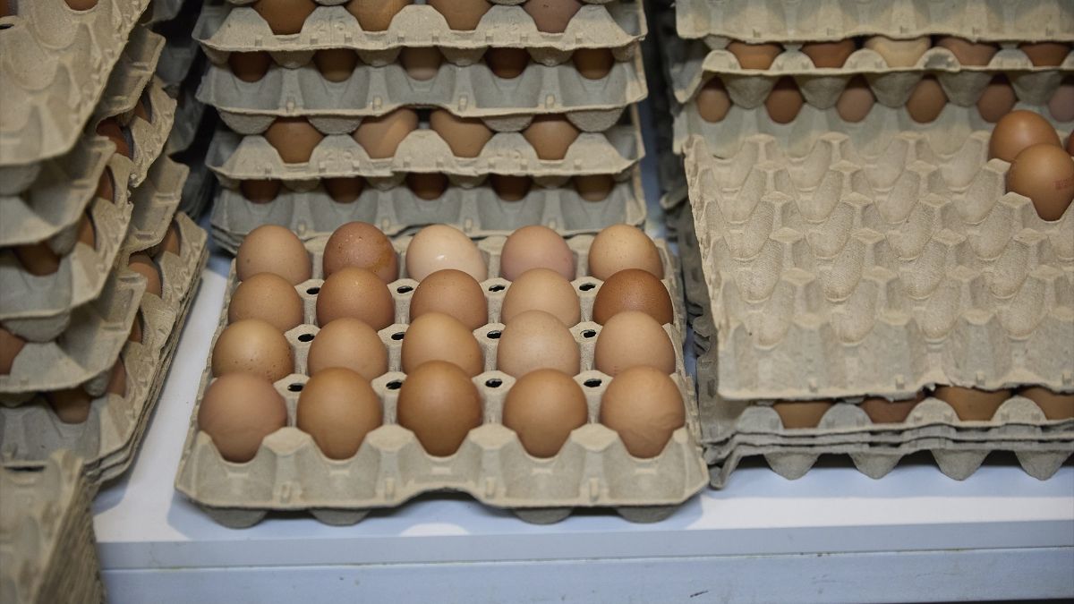 Los huevos suben un 22% su precio en el último año, seguidos por zanahorias y cebollas