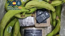 Tres detenidos en Algeciras por introducir 240 kilos de cocaína en cajas de plátanos