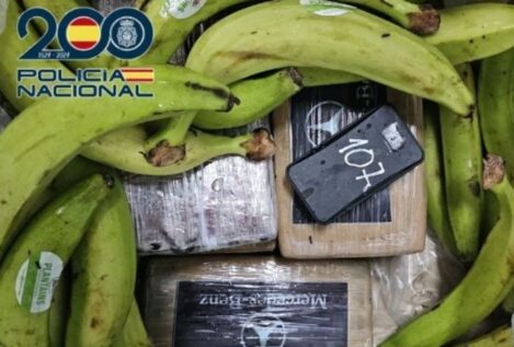 Tres detenidos en Algeciras por introducir 240 kilos de cocaína en cajas de plátanos