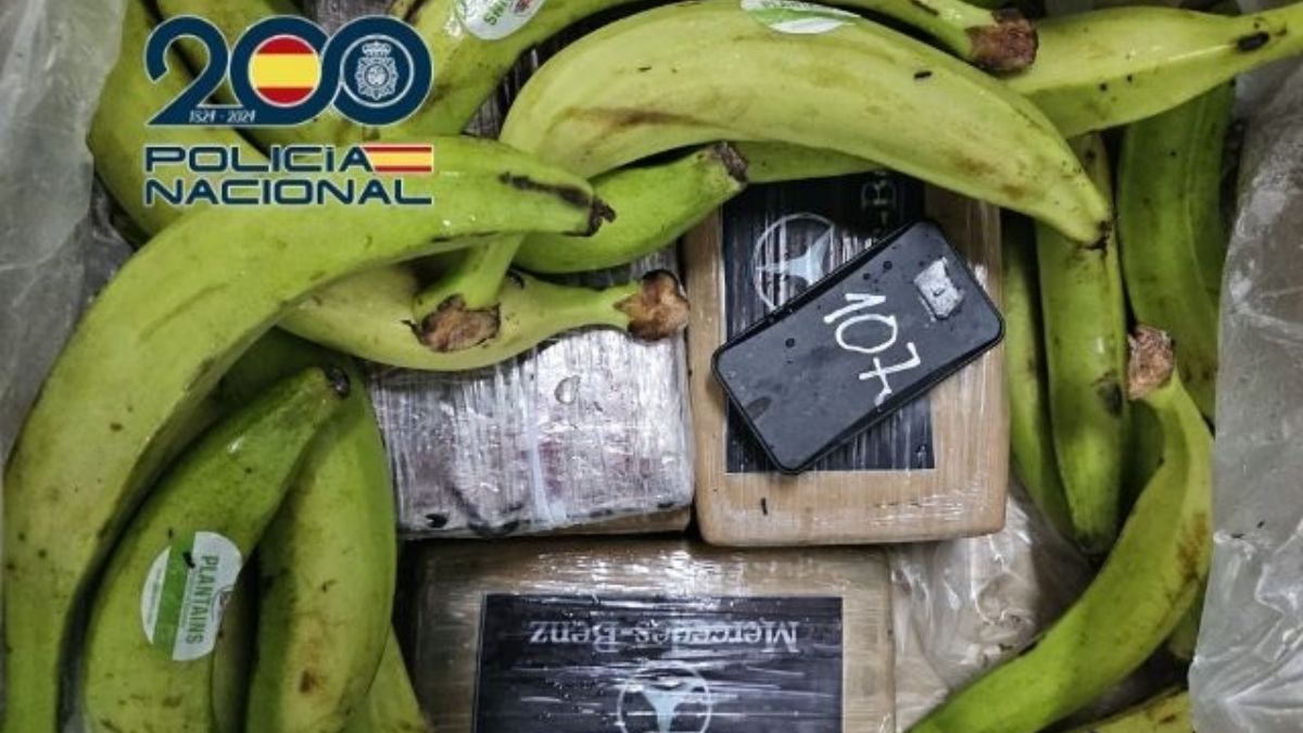 Tres detenidos en Algeciras por introducir 240 kilos de cocaína en cajas de plátanos