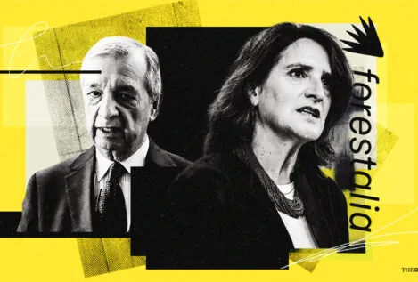 El subordinado de Ribera detenido acudía a Forestalia tras su jornada en el ministerio