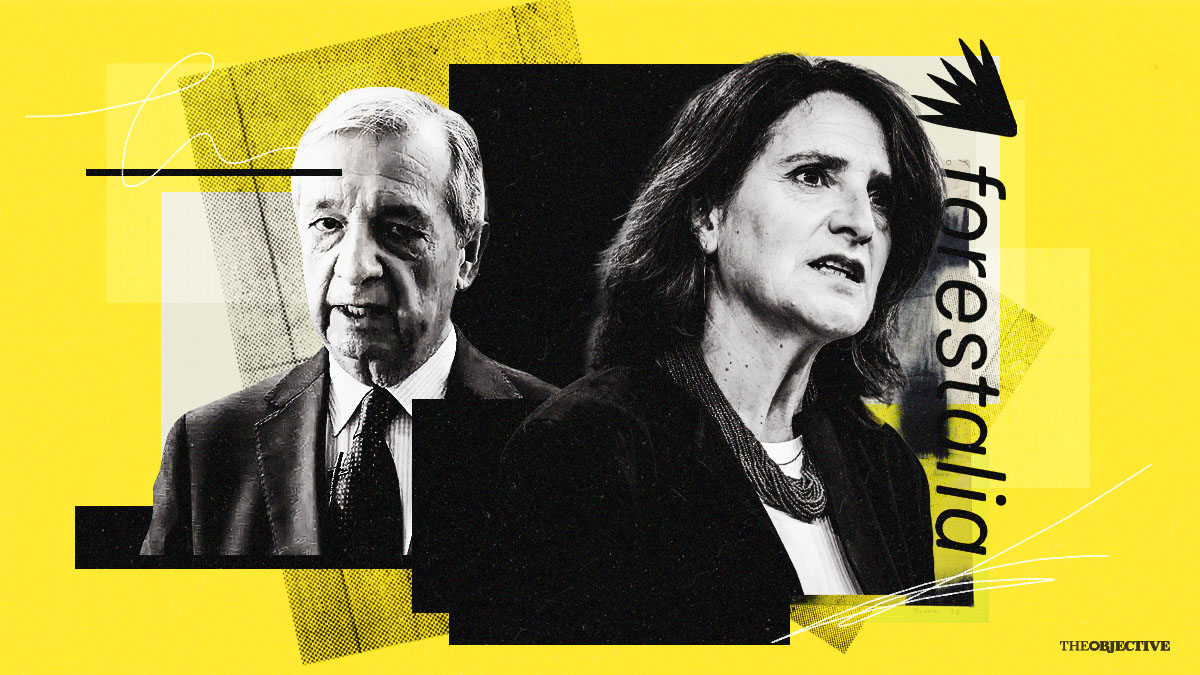 El subordinado de Ribera detenido acudía a Forestalia tras su jornada en el ministerio