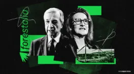 El subordinado de Teresa Ribera usó técnicos sin cualificación para favorecer a Forestalia