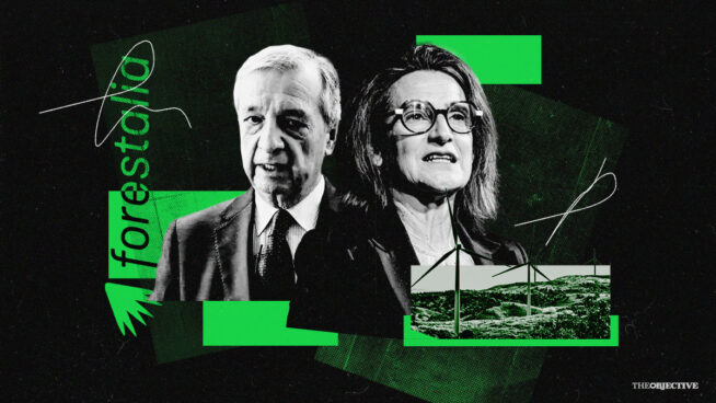 El subordinado de Teresa Ribera usó técnicos sin cualificación para favorecer a Forestalia
