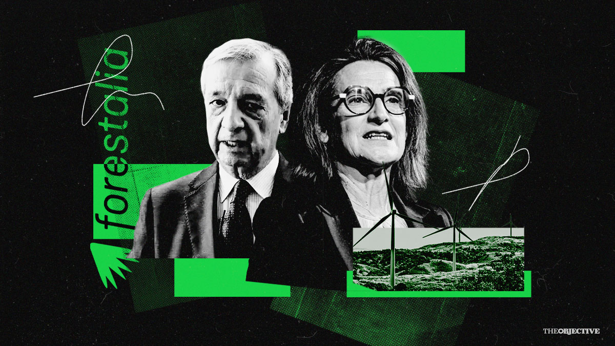 El subordinado de Teresa Ribera usó técnicos sin cualificación para favorecer a Forestalia