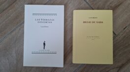 Los diarios de Luis Bravo Velasco