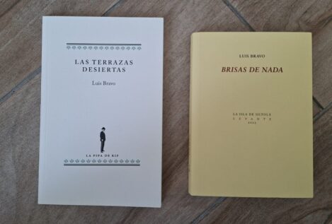 Los diarios de Luis Bravo Velasco