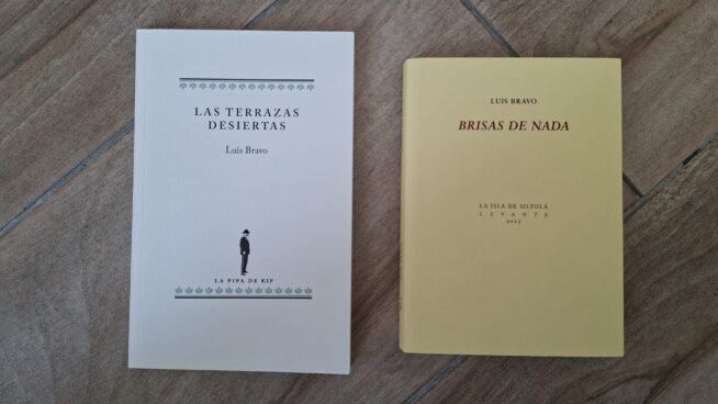 Los diarios de Luis Bravo Velasco