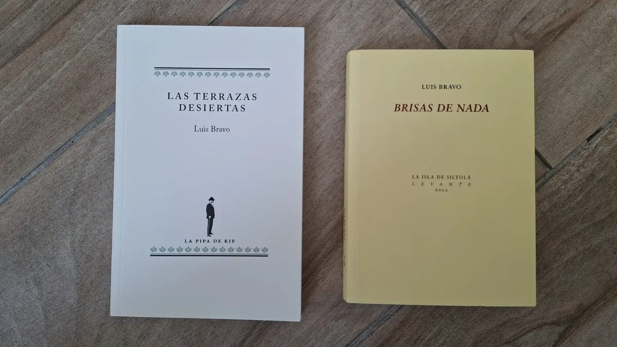 Los diarios de Luis Bravo Velasco