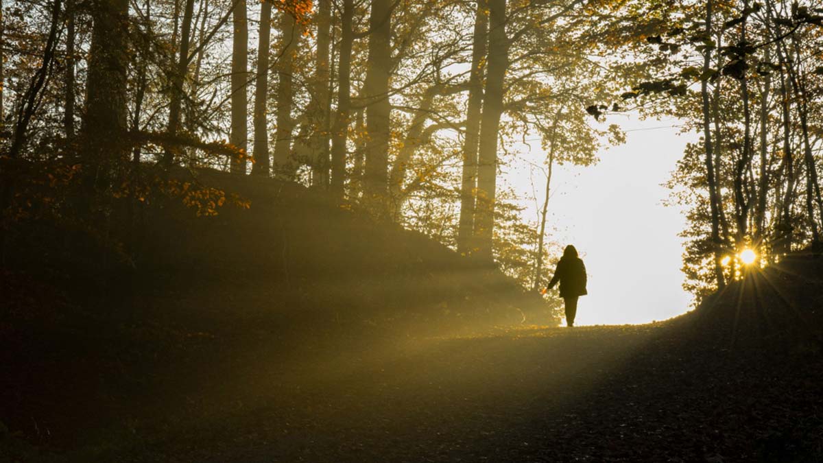 Michel de Montaigne, filósofo, lo dijo en 1592: «La felicidad no depende de la fortuna o la sabiduría, sino de valorar lo sencillo»