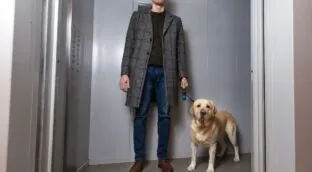 La Ley de Propiedad Horizontal lo esclarece: tu perro puede subir por el ascensor salvo que los estatutos de la comunidad lo prohíban