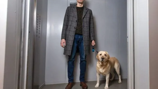 La Ley de Propiedad Horizontal lo esclarece: tu perro puede subir por el ascensor salvo que los estatutos de la comunidad lo prohíban