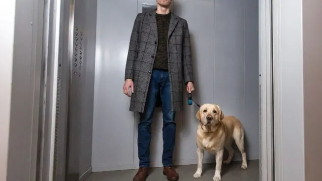 La Ley de Propiedad Horizontal lo esclarece: tu perro puede subir por el ascensor salvo que los estatutos de la comunidad lo prohíban