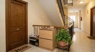 Ni plantas ni zapateros: la Ley de Propiedad Horizontal aclara que la comunidad te puede hacer quitarlos del rellano