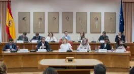 Un sondeo interno de Sumar confirma su desplome con la pérdida de la mitad de votos