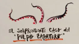 La viñeta animada sobre... el sorprendente caso del 'pulpo Zapatero'