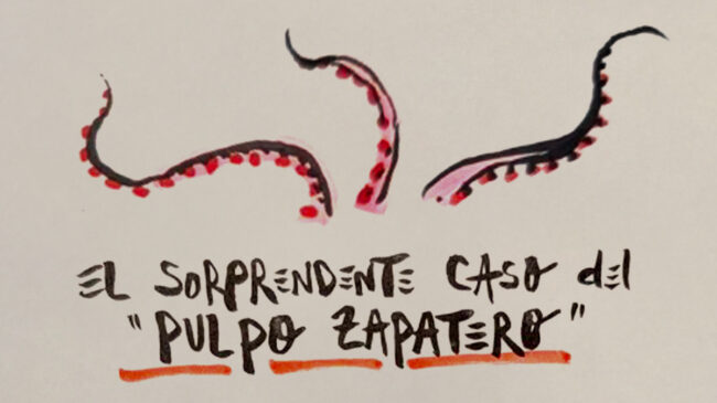 La viñeta animada sobre... el sorprendente caso del 'pulpo Zapatero'