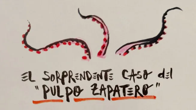 La viñeta animada sobre... el sorprendente caso del 'pulpo Zapatero'