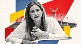 El Gobierno frena tres proyectos eólicos tras verse salpicado por el 'caso Forestalia'