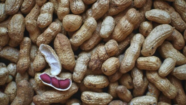 Las bacterias de la saliva pueden ayudar a reducir las reacciones alérgicas al cacahuete