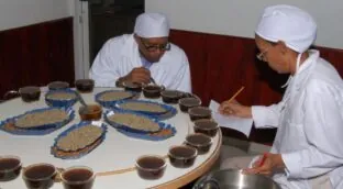 Aecid envía 200.000 euros a la República Dominicana para «café» en 2025