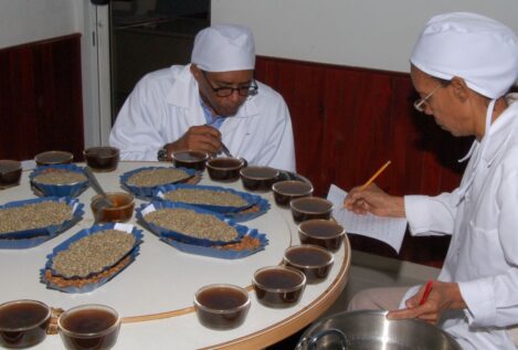 Aecid envía 200.000 euros a la República Dominicana para «café» en 2025