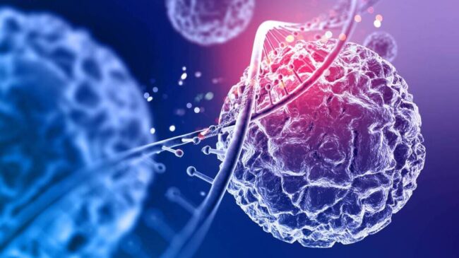 Logran reprogramar células inmunitarias contra el cáncer dentro del organismo