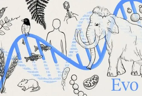 Una IA con datos de 128.000 especies permite diseñar genomas o predecir enfermedades