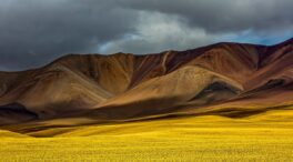 No puedes cortar todas las flores