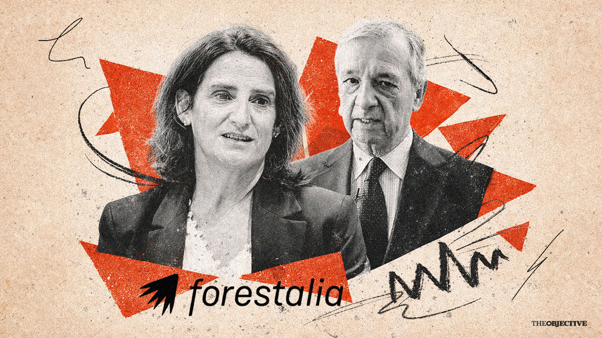 El cargo de Ribera detenido aceleró proyectos de Forestalia frente a los de otros promotores