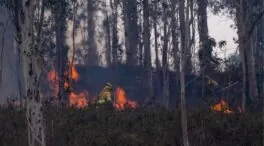 Cantabria mantendrá activo el nivel máximo de alerta por incendios durante 48 horas