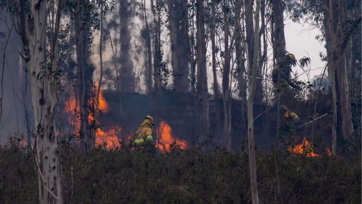 Cantabria mantendrá activo el nivel máximo de alerta por incendios durante 48 horas