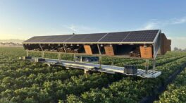 Robots agricultores y ganaderos armados de IA, así son las granjas del futuro