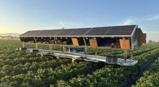 Robots agricultores y ganaderos armados de IA, así son las granjas del futuro