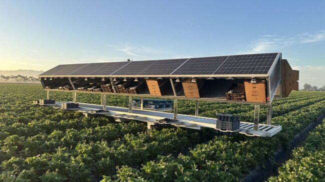 Robots agricultores y ganaderos armados de IA, así son las granjas del futuro