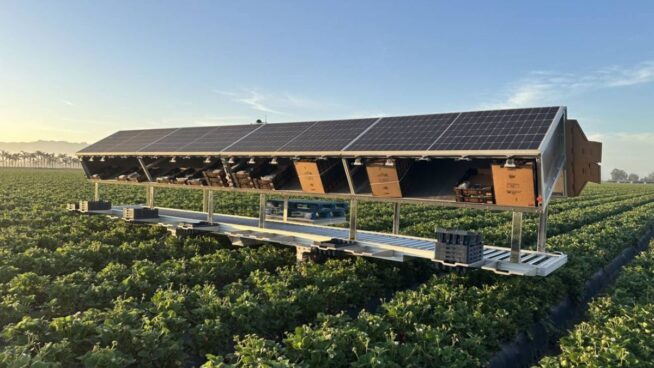 Robots agricultores y ganaderos armados de IA, así son las granjas del futuro