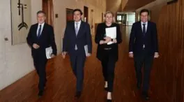 Vox, Soria Ya, Por Ávila y UPL se muestran receptivos con el PP, el PSOE se autoexcluye